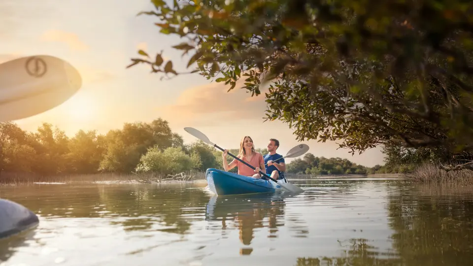 Mangrove Abu Dhabi