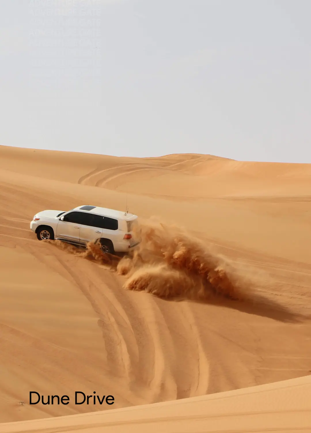 Dune Drive Safari