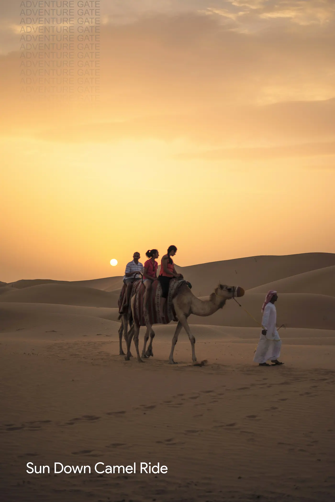 sun down camel ride