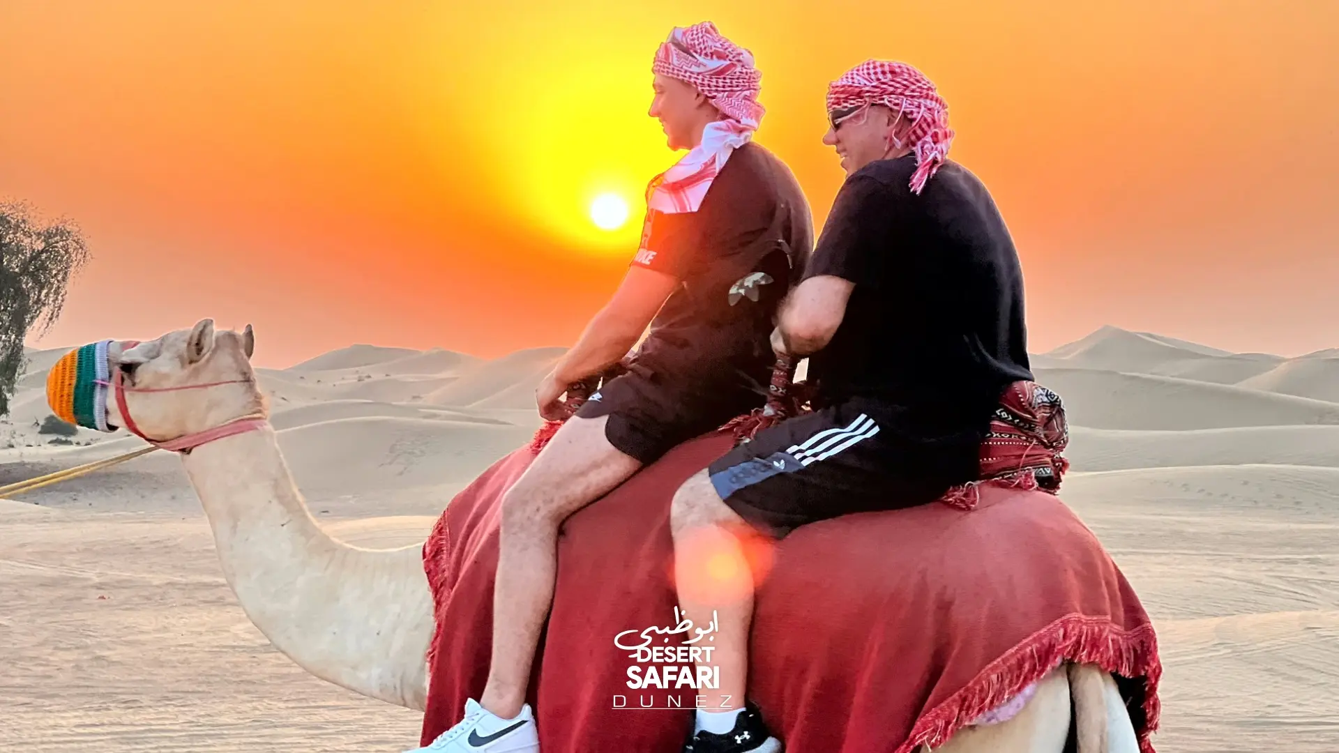 camel ride safari abu dhabi